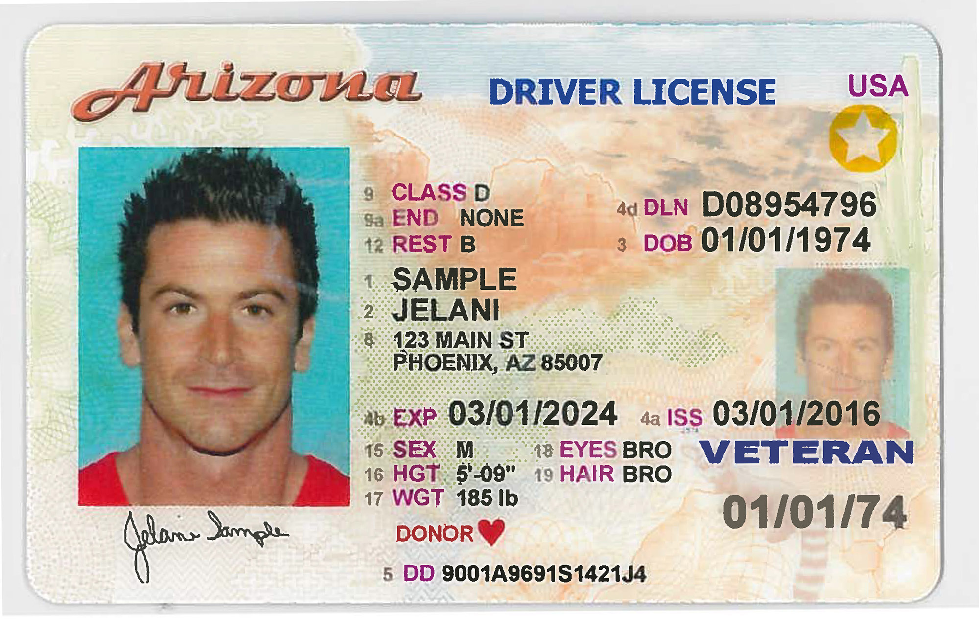 arizona new drivers license requirements 2020